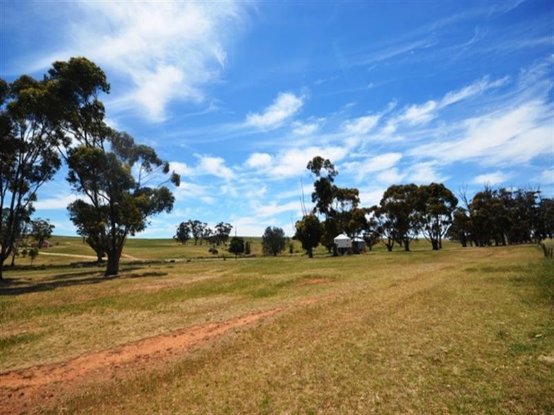 4 Lots Holm Hill Road, Manoora SA 5414