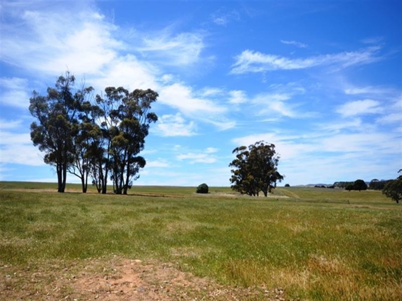 4 Lots Holm Hill Road, Manoora SA 5414