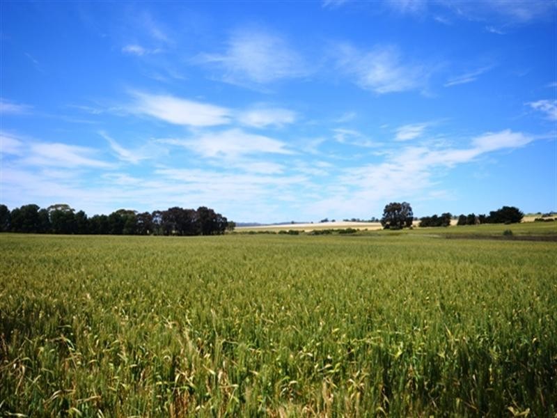 4 Lots Holm Hill Road, Manoora SA 5414