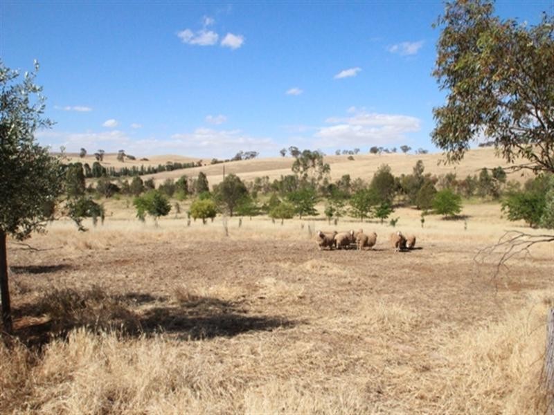 18 Smith Road, Leasingham SA 5452