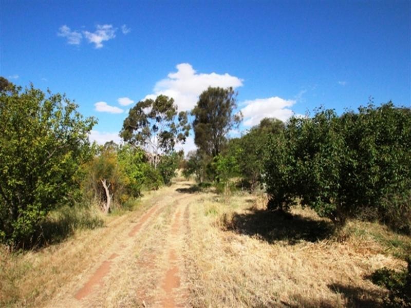 18 Smith Road, Leasingham SA 5452