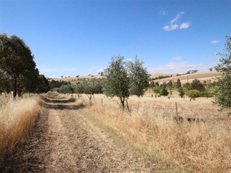 18 Smith Road, Leasingham SA 5452