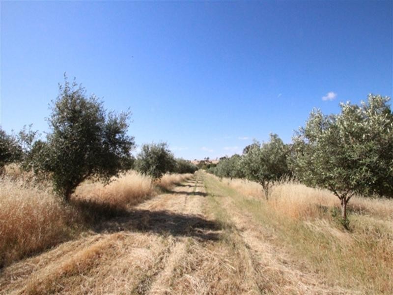 18 Smith Road, Leasingham SA 5452