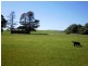 9 Railway Terrace, Spalding SA 5454