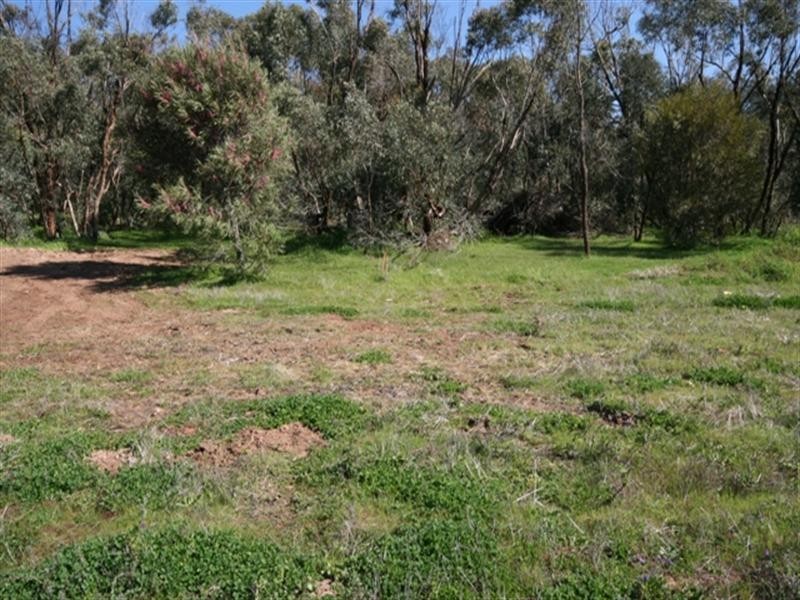 Lot 9 Tamblyn Street, Clare SA 5453