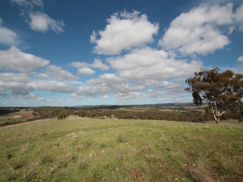 57 Calcannia Road, Clare SA 5453