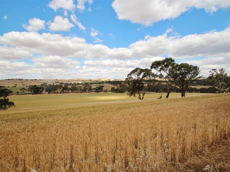 57 Calcannia Road, Clare SA 5453