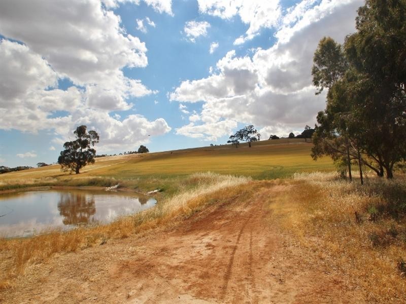 57 Calcannia Road, Clare SA 5453