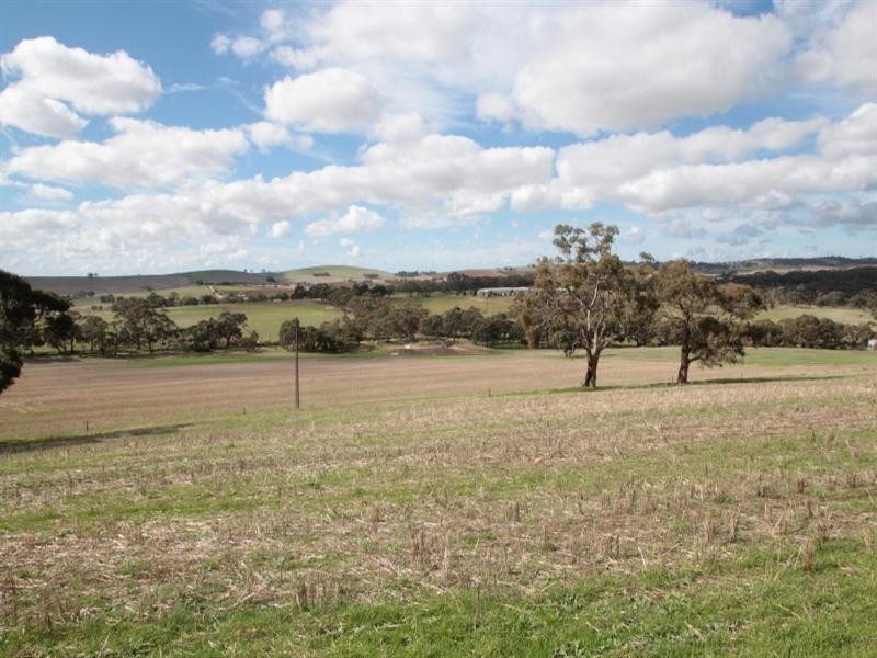 57 Calcannia Road, Clare SA 5453