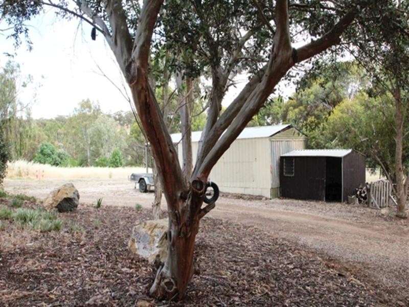 255 Benbournie Road, Armagh SA 5453