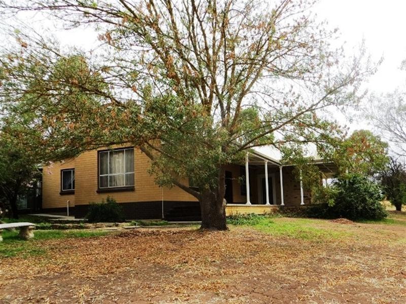 “Willow Glen” Pugsleys Road, Manoora SA 5414