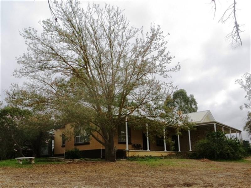 “Willow Glen” Pugsleys Road, Manoora SA 5414