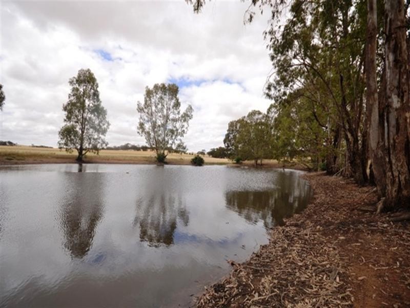 “Willow Glen” Pugsleys Road, Manoora SA 5414