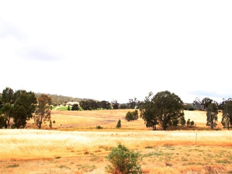 255 Benbournie Road, Armagh Via, Clare SA 5453