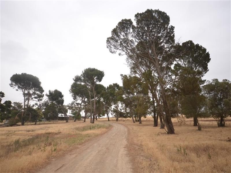 “Horsley Dene” Govt Road, Burra SA 5417