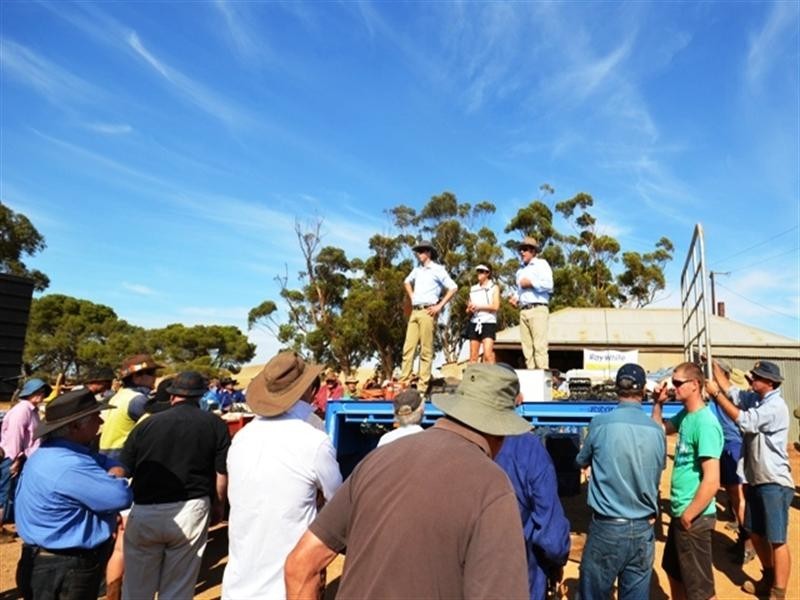Clearing Sale Barrier Highway, Porter Lagoon SA 5416