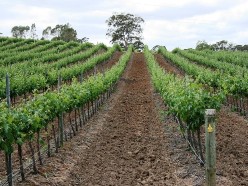 Lot 100 Springfarm Road, Clare SA 5453