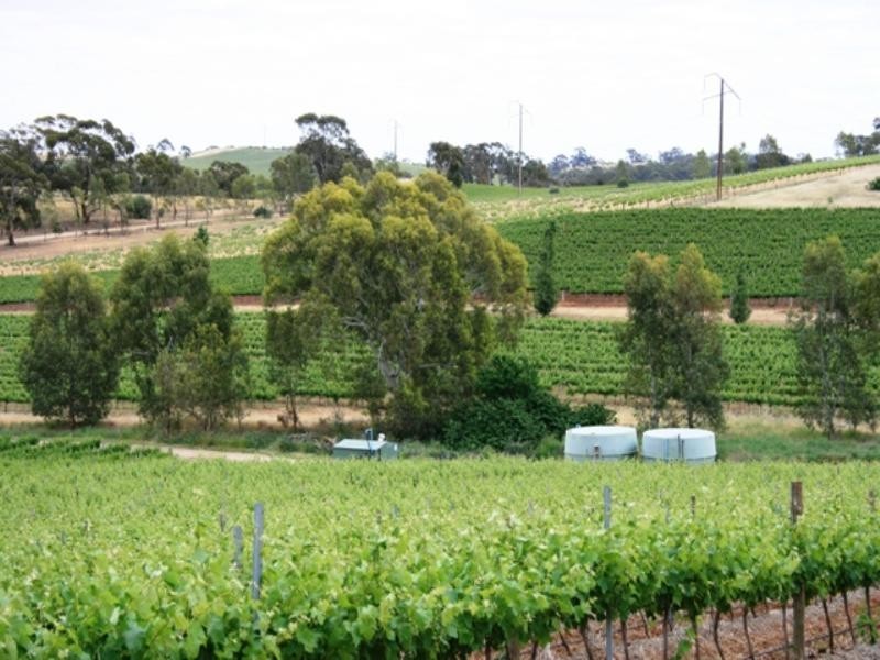 Lot 100 Springfarm Road, Clare SA 5453