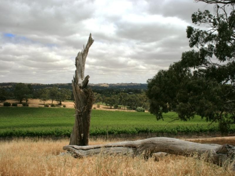 Lot 100 Springfarm Road, Clare SA 5453