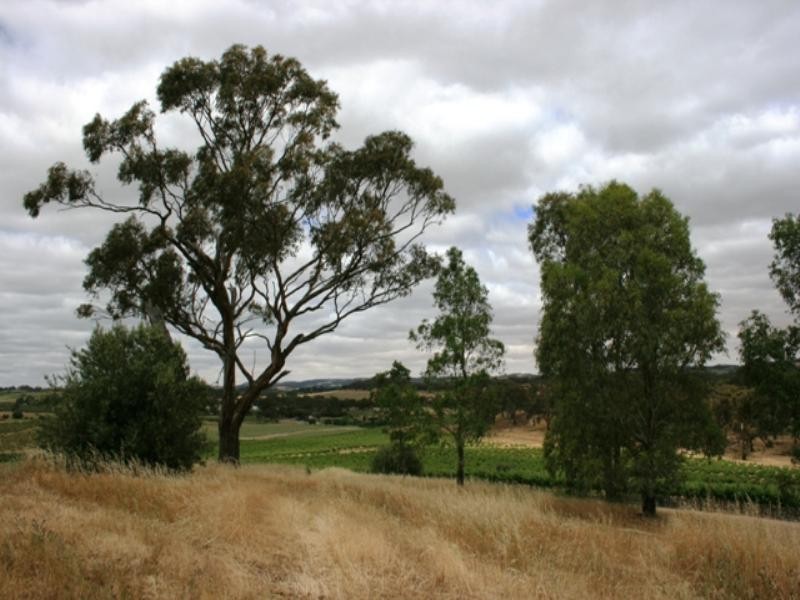 Lot 100 Springfarm Road, Clare SA 5453