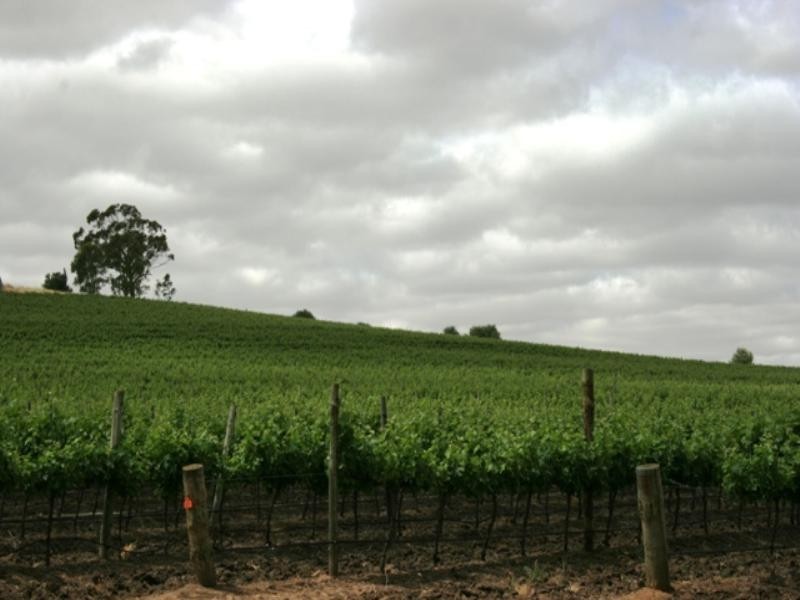 Lot 100 Springfarm Road, Clare SA 5453