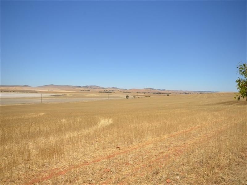 FOR LEASE Porter Lagoon via, Manoora SA 5414