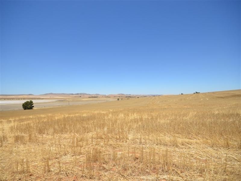 FOR LEASE Porter Lagoon via, Manoora SA 5414