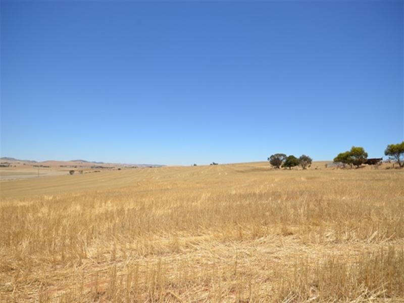 FOR LEASE Porter Lagoon via, Manoora SA 5414