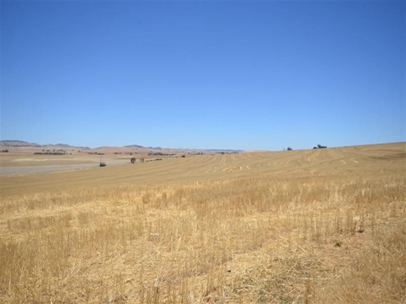 FOR LEASE Porter Lagoon via, Manoora SA 5414