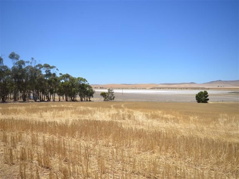 FOR LEASE Porter Lagoon via, Manoora SA 5414