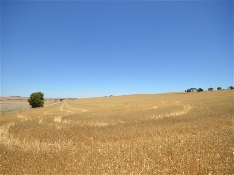 FOR LEASE Porter Lagoon via, Manoora SA 5414