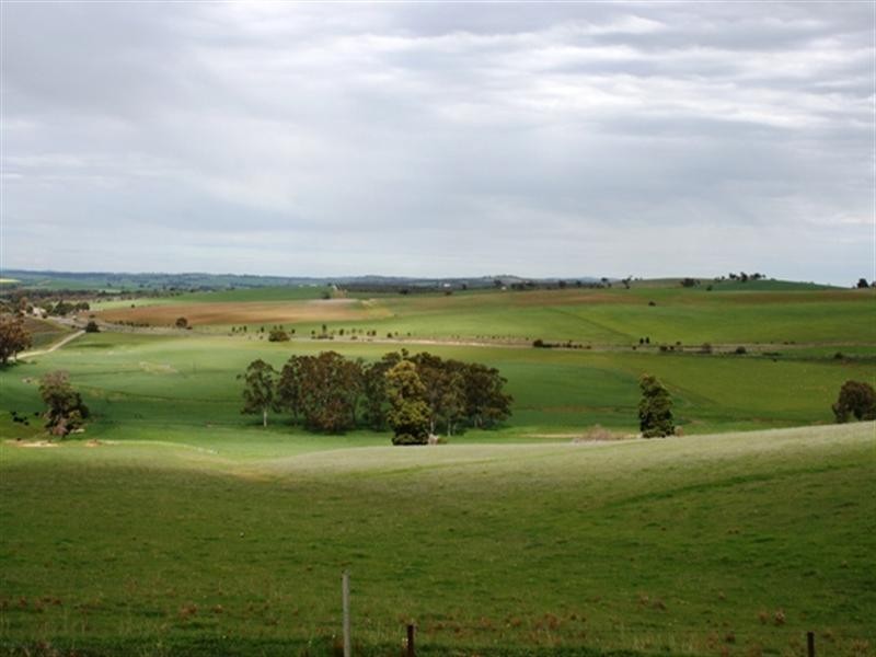 24/Lot 23 Hean Road, Auburn SA 5451