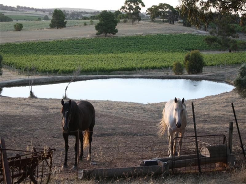 ‘Rosedale’ ,Stanley Stud Road, Clare SA 5453