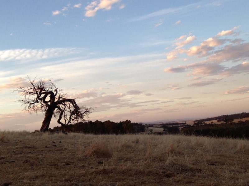 ‘Rosedale’ ,Stanley Stud Road, Clare SA 5453