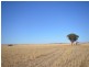 “Andriskes” Everard via, Blyth SA 5462