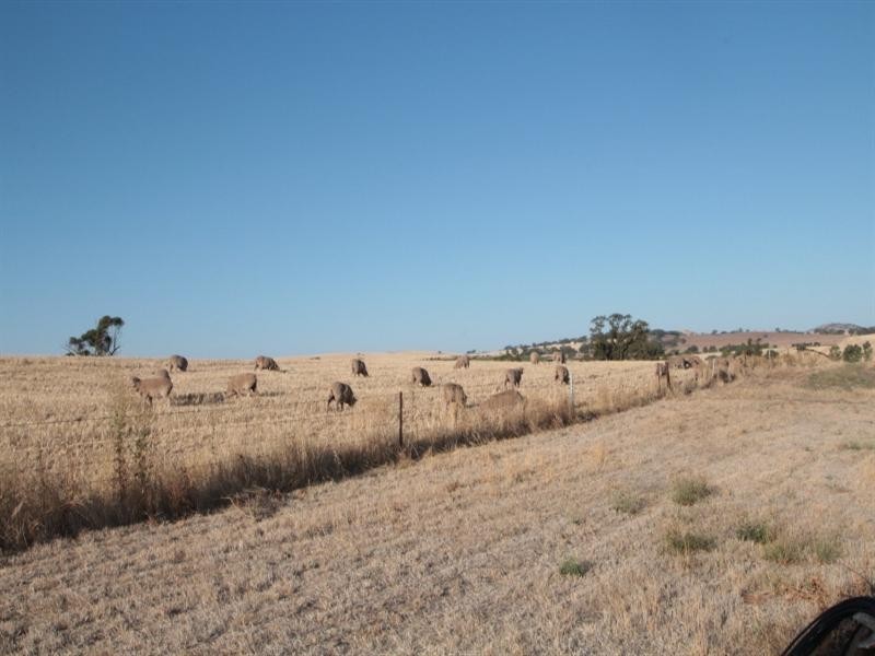 179 Schmerl Road, Auburn SA 5451