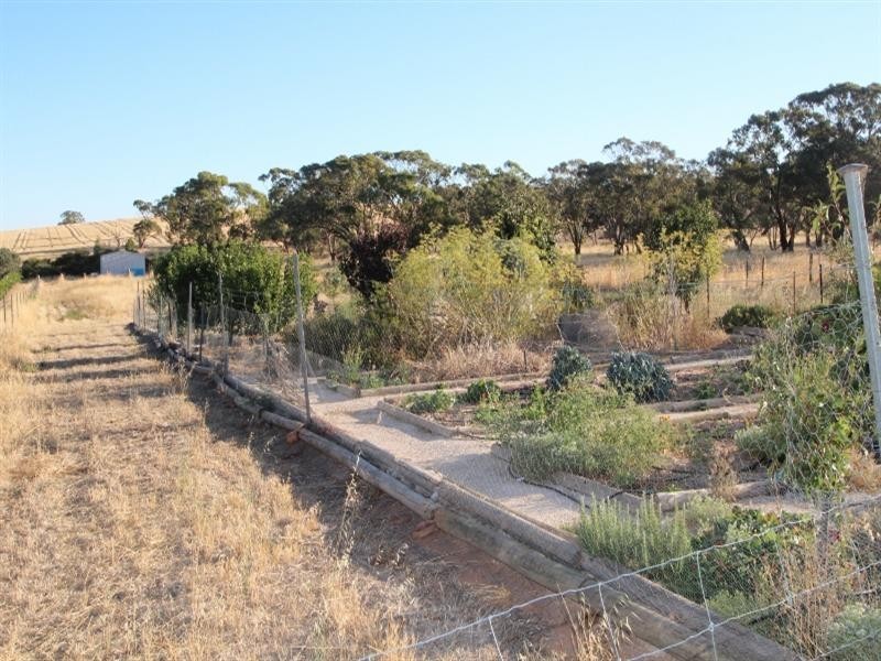 179 Schmerl Road, Auburn SA 5451