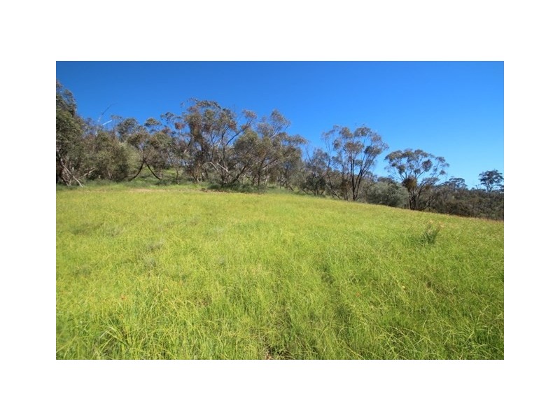 56 Bennys Hill Road, Clare SA 5453