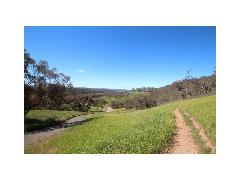 56 Bennys Hill Road, Clare SA 5453