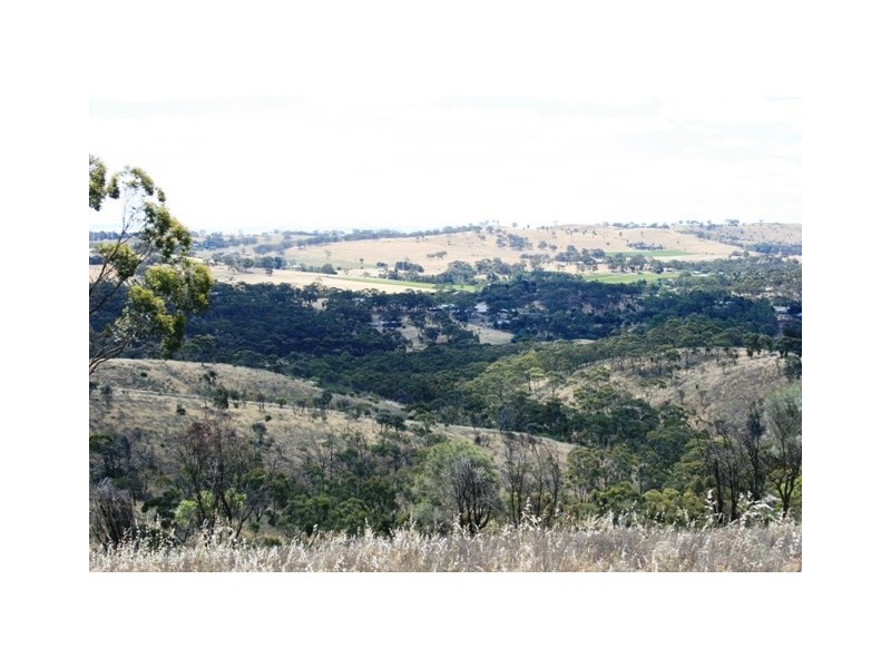 56 Bennys Hill Road, Clare SA 5453