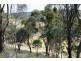 56 Bennys Hill Road, Clare SA 5453