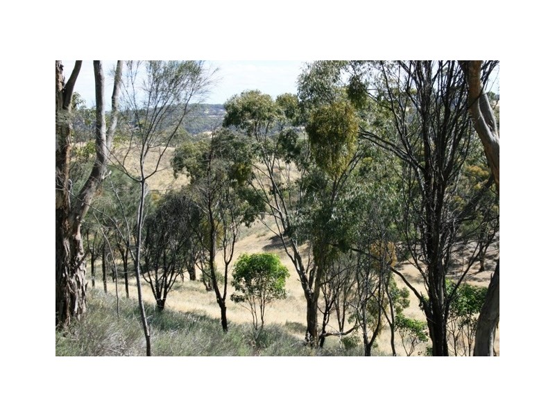 56 Bennys Hill Road, Clare SA 5453