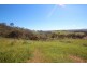 56 Bennys Hill Road, Clare SA 5453