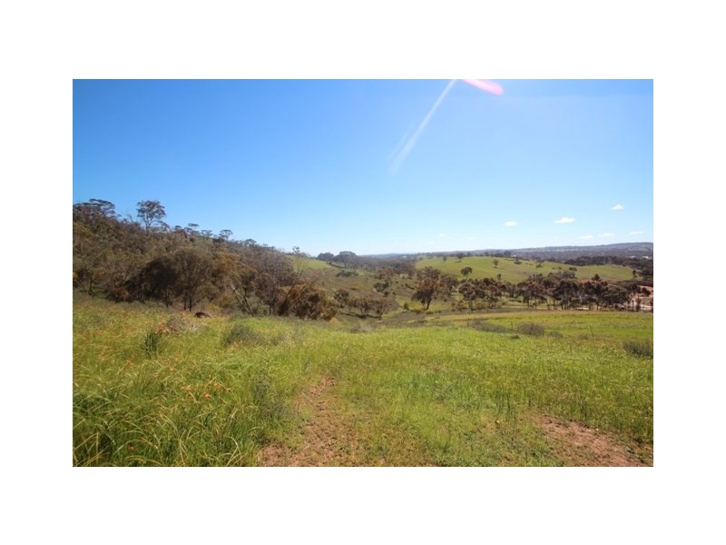 56 Bennys Hill Road, Clare SA 5453