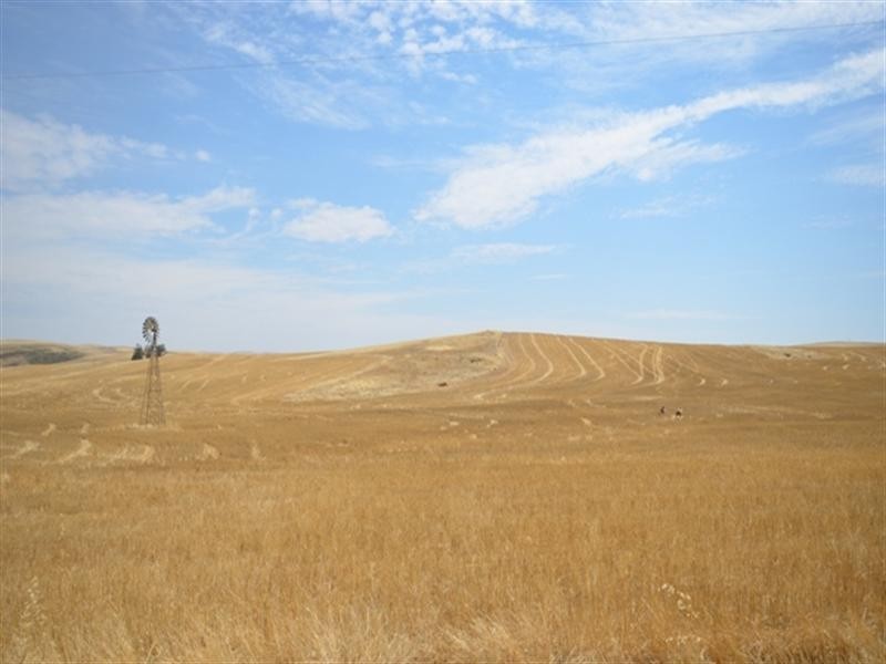 2 Lots RM Williams Highway, Andrews via, Spalding SA 5454