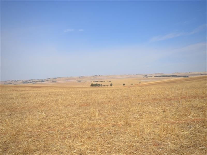 2 Lots RM Williams Highway, Andrews via, Spalding SA 5454