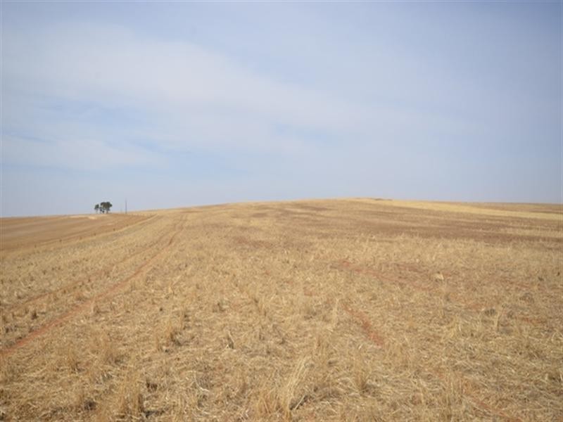 2 Lots RM Williams Highway, Andrews via, Spalding SA 5454