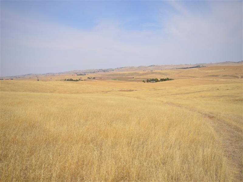 2 Lots RM Williams Highway, Andrews via, Spalding SA 5454