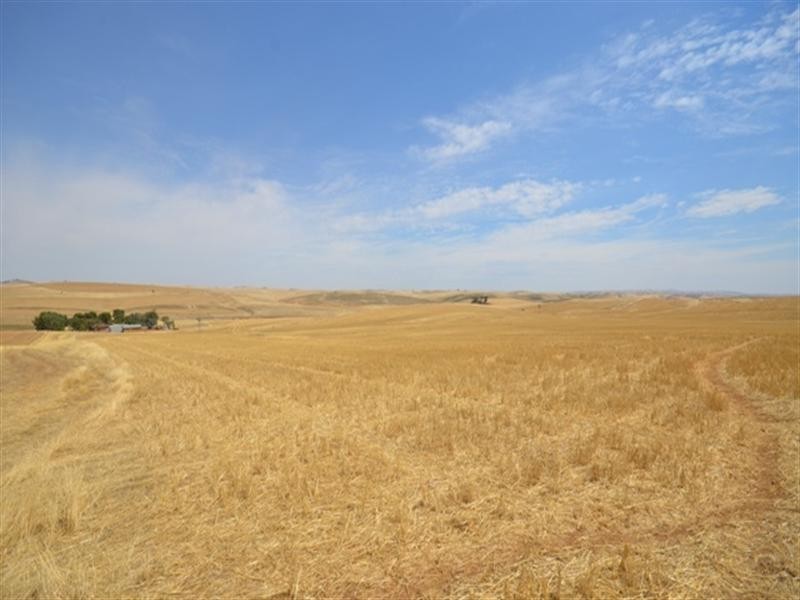 2 Lots RM Williams Highway, Andrews via, Spalding SA 5454