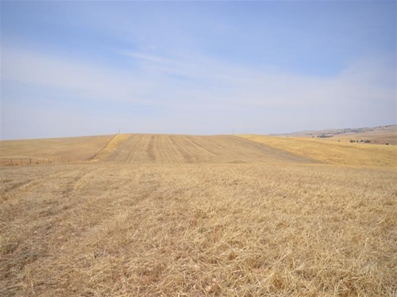 2 Lots RM Williams Highway, Andrews via, Spalding SA 5454